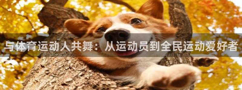 678体育app：与体育运动人共舞：从运动员到全民运动爱好者