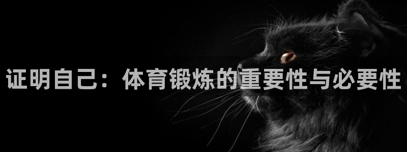 皇冠678体育：证明自己：体育锻炼的重要性与必要性