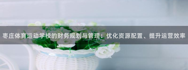 678体育知识：枣庄体育运动学校的财务规划与管理：优化资源配置、提升运营效率
