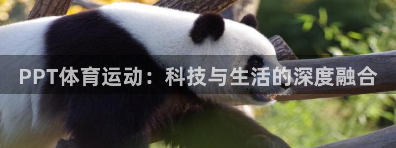 678体育官网：PPT体育运动：科技与生活的深度融合