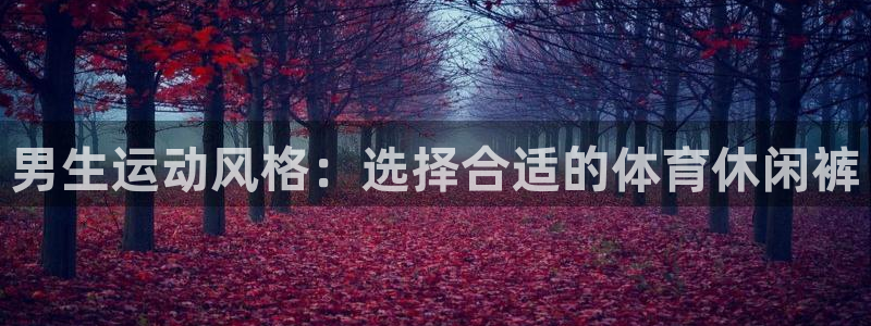 678体育官网下载：男生运动风格：选择合适的体育休闲裤