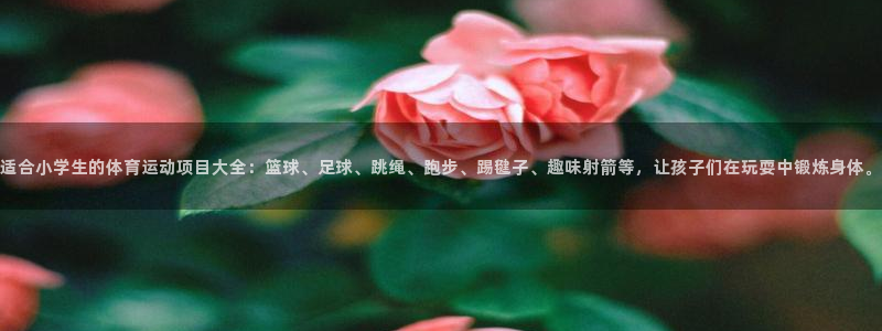 678体育app：适合小学生的体育运动项目大全：篮球、足球、跳绳、跑步、踢毽子、趣味射箭等，让孩子们在玩耍中锻炼身体。