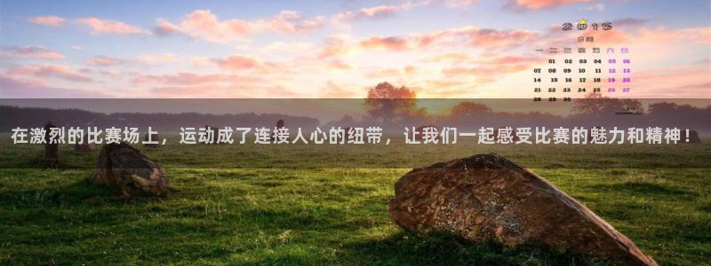 678体育官网地址：在激烈的比赛场上，运动成了连接人心的纽带，让我们一起感受比赛的魅力和精神！