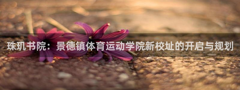 678体育app：珠玑书院：景德镇体育运动学院新校址的开启与规划