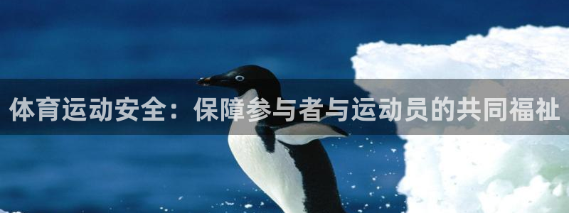 678体育官网地址：体育运动安全：保障参与者与运动员的共同福祉