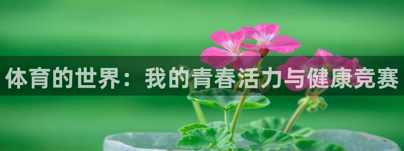 678体育官网：体育的世界：我的青春活力与健康竞赛